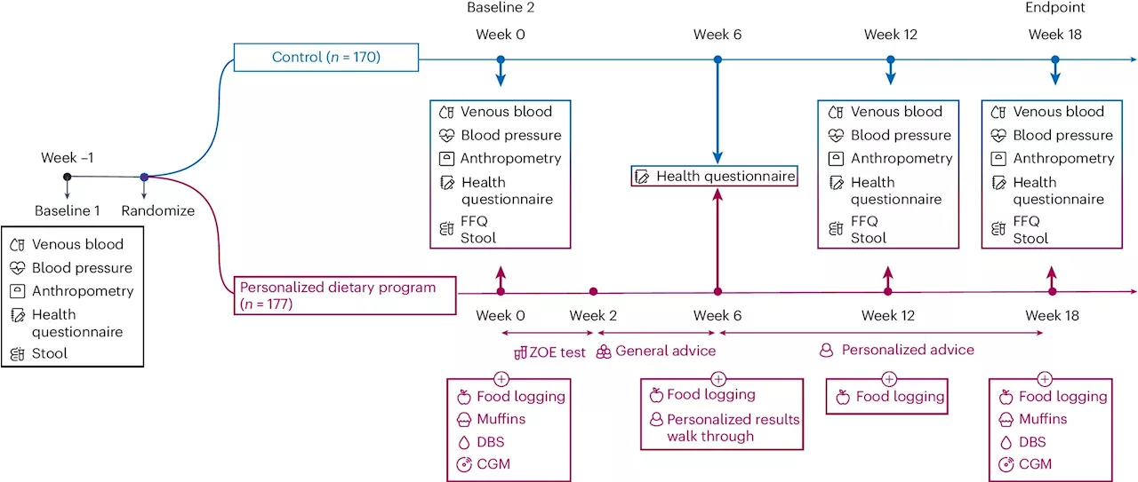 Personalized nutrition more effective than general diet advice, study finds