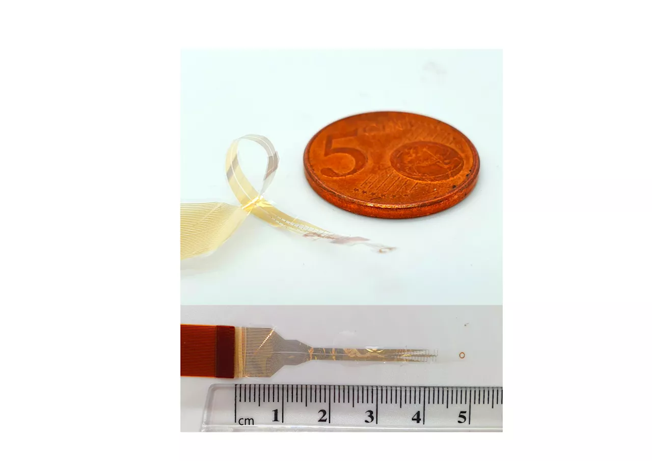 'Wraparound' implants represent new approach to treating spinal cord injuries