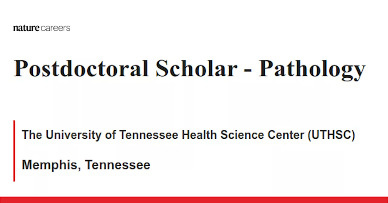  Pathology - Memphis, Tennessee job with The University of Tennessee Health Science Center (UTHSC)