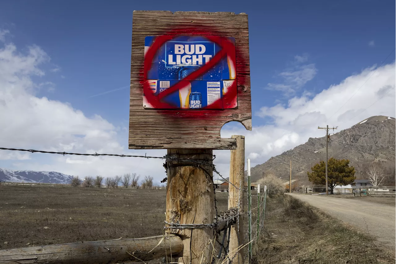 Bud Light Boycott Drags Down Beermaker's U.S. Revenue