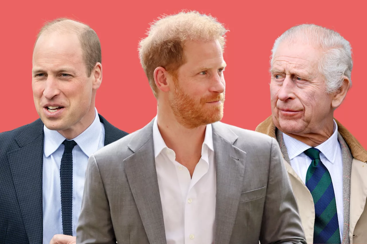 King Charles' Snub for Prince Harry May Be Costly Error