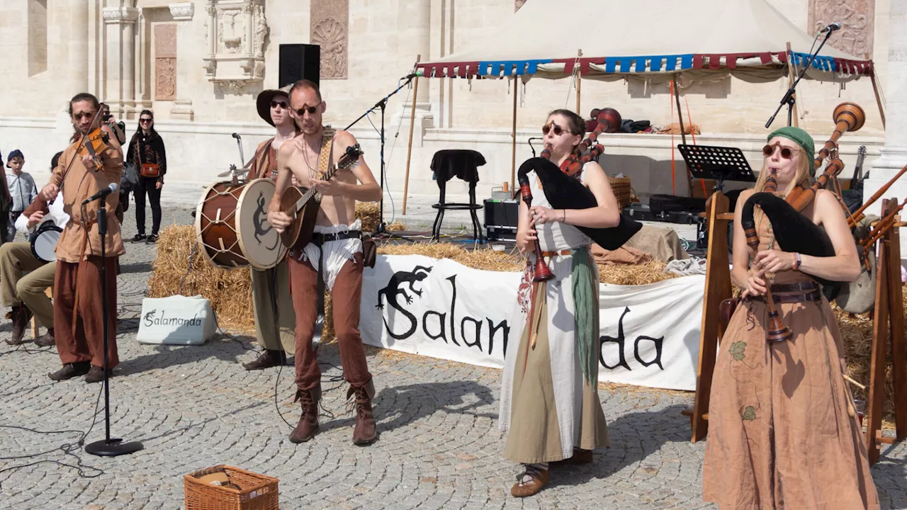 14.000 beim Mittelalterfest in Klosterneuburg