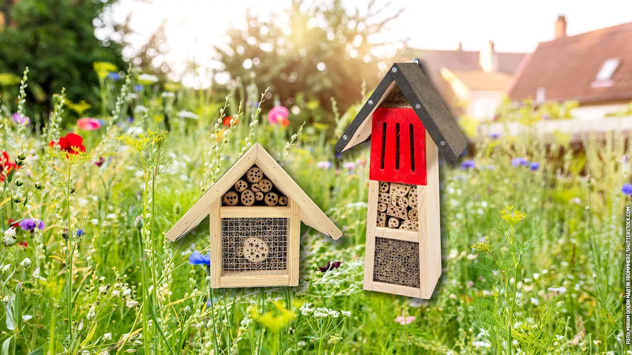 Für viele Nützlinge im Garten