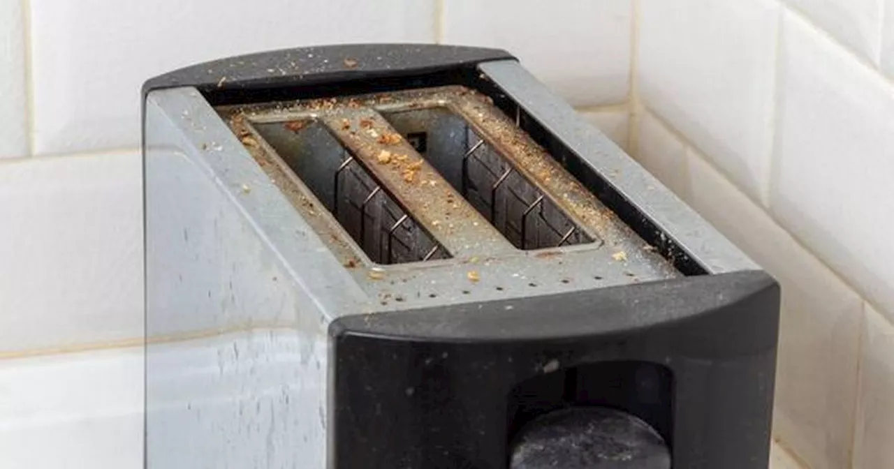 Woman's 'genius' toaster cleaning hack leaves people in disbelief