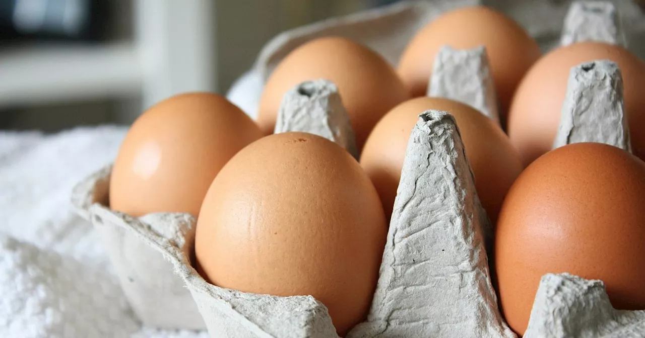 Eierautomaten in der Nähe: Hier gibt es frische Eier und Eierliköre in OWL