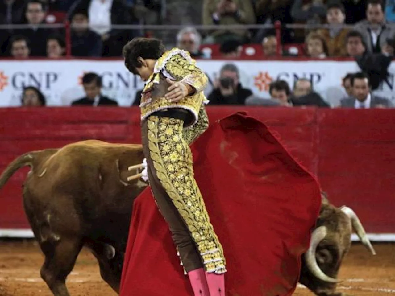 El Congreso define, este miércoles, si prohíbe las corridas de toros en el país