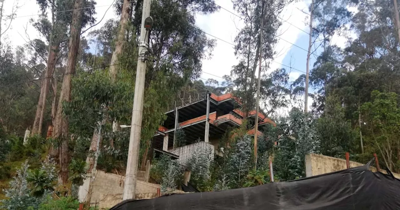 Constructora tumbó 2.000 árboles para hacer megamansión en cerros de Bogotá: justicia confirmó condena