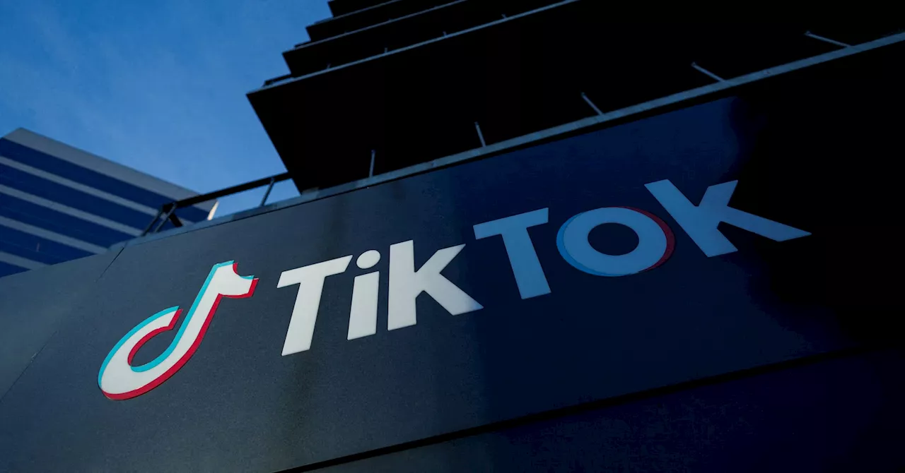 TikTok, ByteDance sue to block US law seeking sale or ban of app