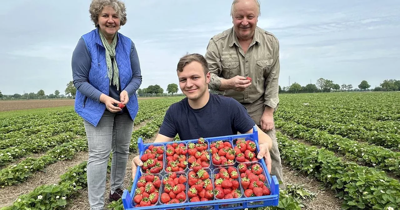 Hier findet man die Erdbeer-Buden am Niederrhein​