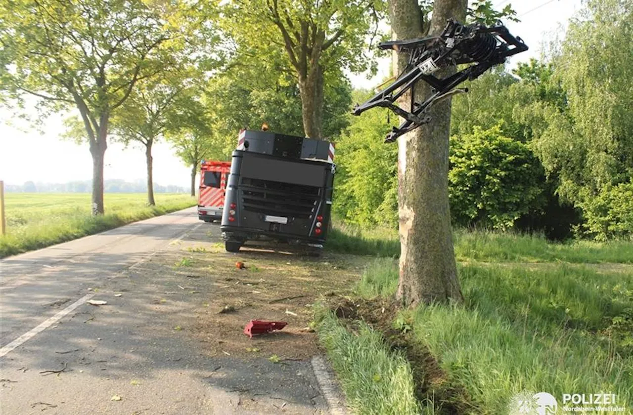 Kalkar: Fahrer bleibt mit Mobilkran in Baumspitze hängen​