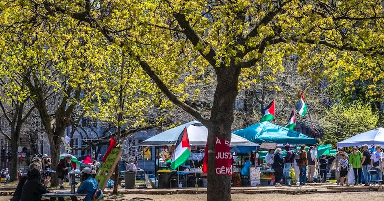 Campus life goes on as encampment becomes part of McGill's scenery