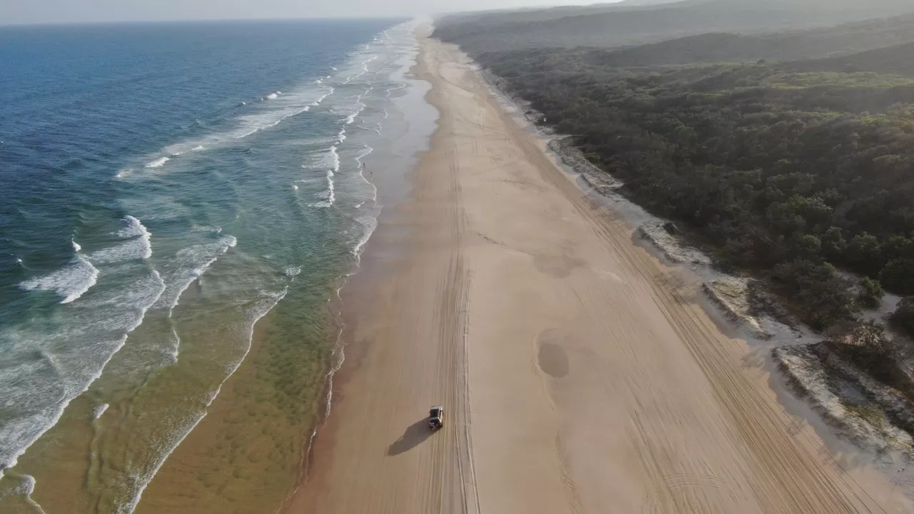 Popular Qld hotspot may face tourist caps amid rise in dingo attacks