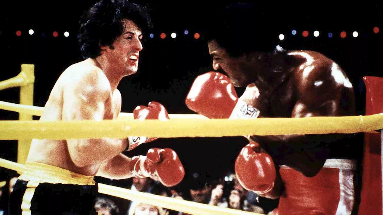 »I Play Rocky«: »Green Book«-Regisseur Peter Farrelly dreht Film über den jungen Sylvester Stallone