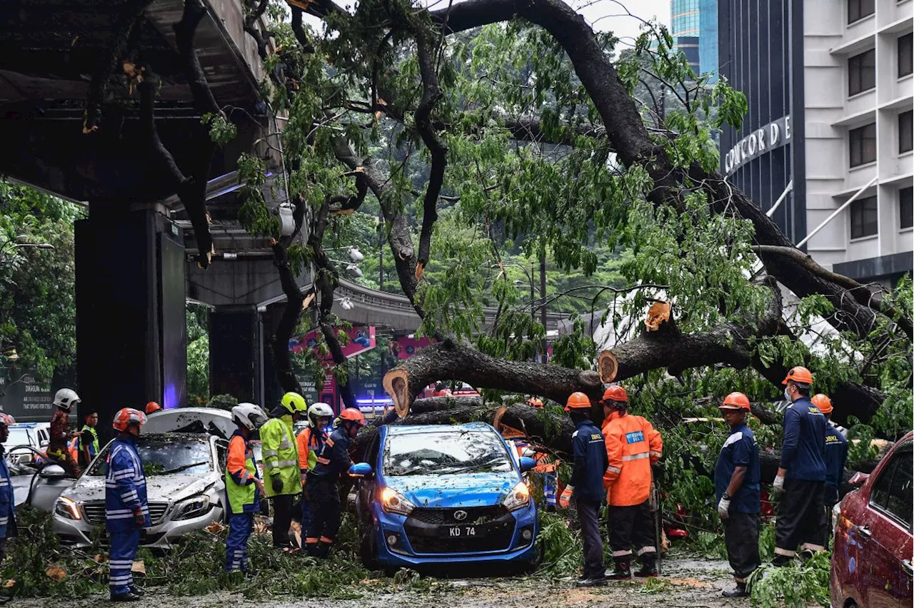 Always inspect slopes and trees, authorities urged