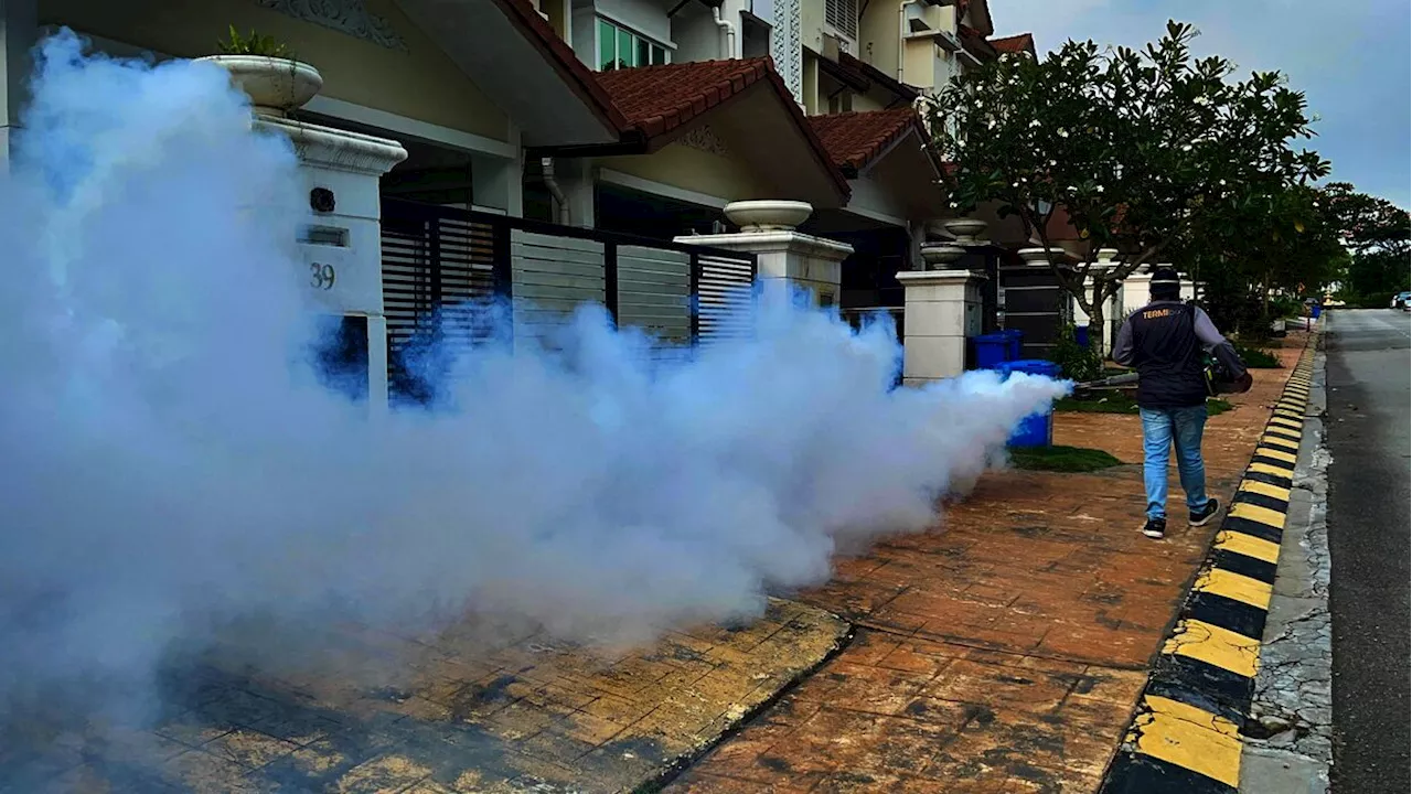 Dengue bites hard in Selangor