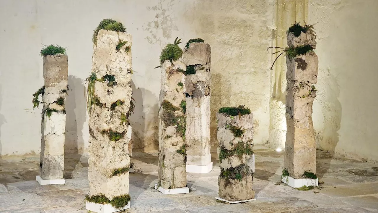 Exposition : à Saint-Loubès, deux artistes font résonner les échos de la Terre