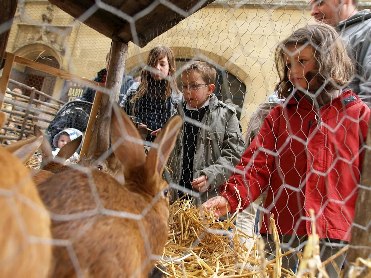 Foie gras, châtaigne, noix ou vin à l’honneur aux Journées du terroir, à Sarlat