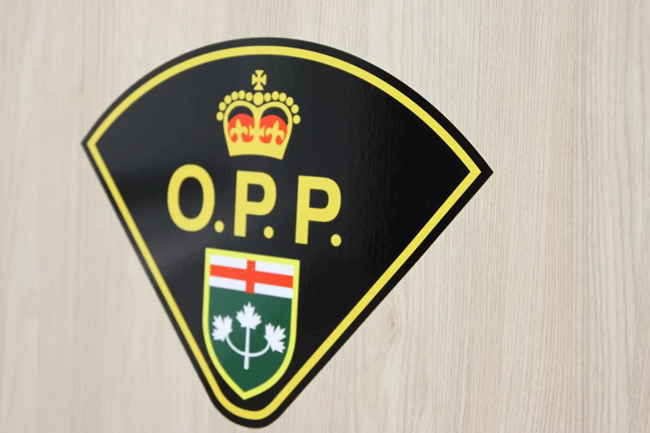 Two Thunder Bay men arrested during large OPP child porn case