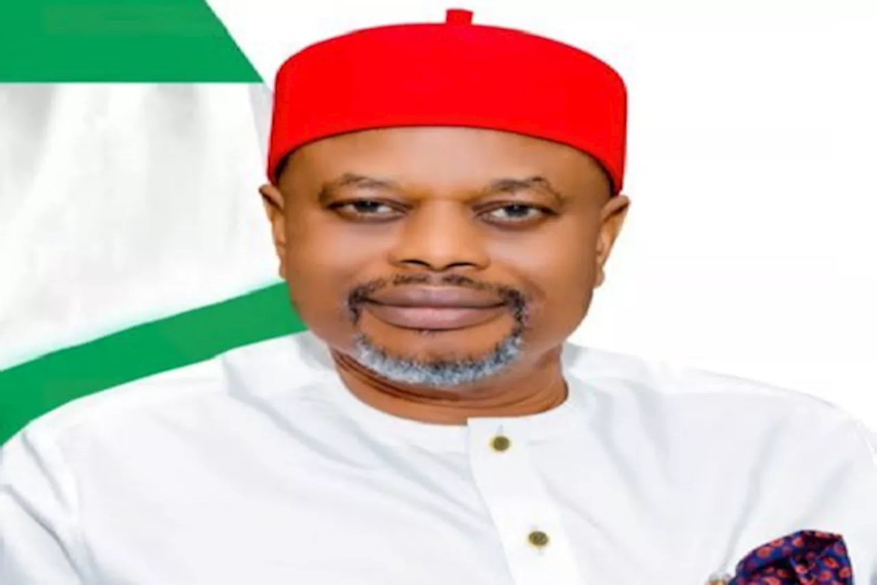Monitoring activities, performance of energy sector should be prioritised, says Nnaji
