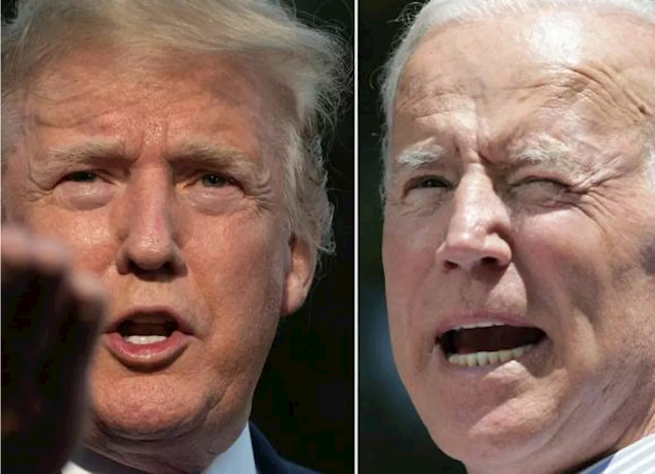 Ni Biden, Ni Trump, ninguno es el favorito a 6 meses de elecciones en EU