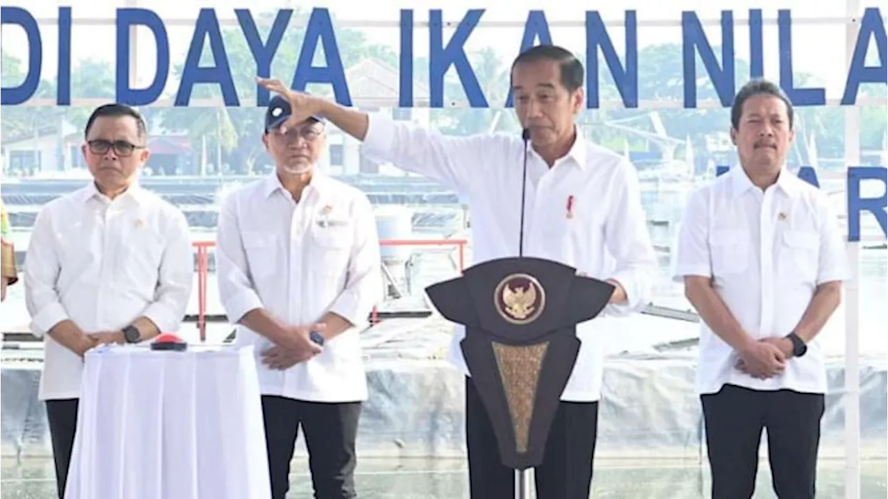 Jokowi akan Bisiki Prabowo soal Potensi Besar dari Budi Daya Ikan Nila Salin