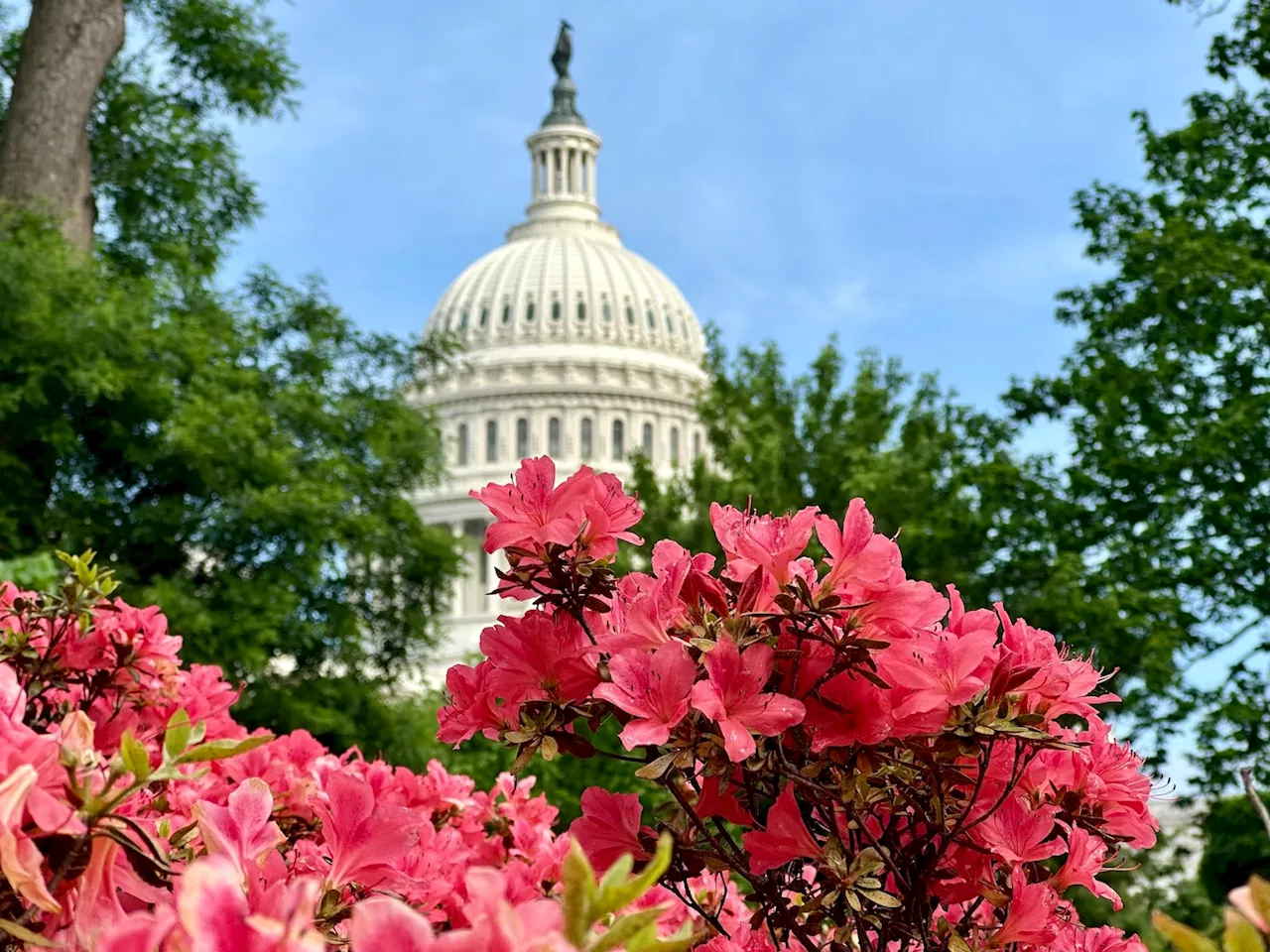 D.C.-area forecast: Heating up today with a shower or storm, higher storm chances tomorrow