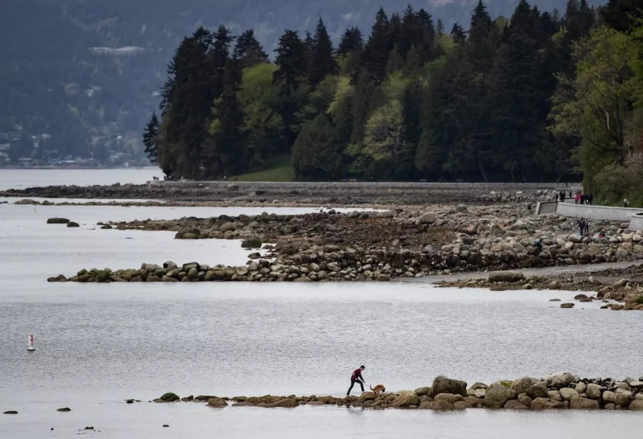 Another barge adrift in Vancouver prompts speedy coast guard response