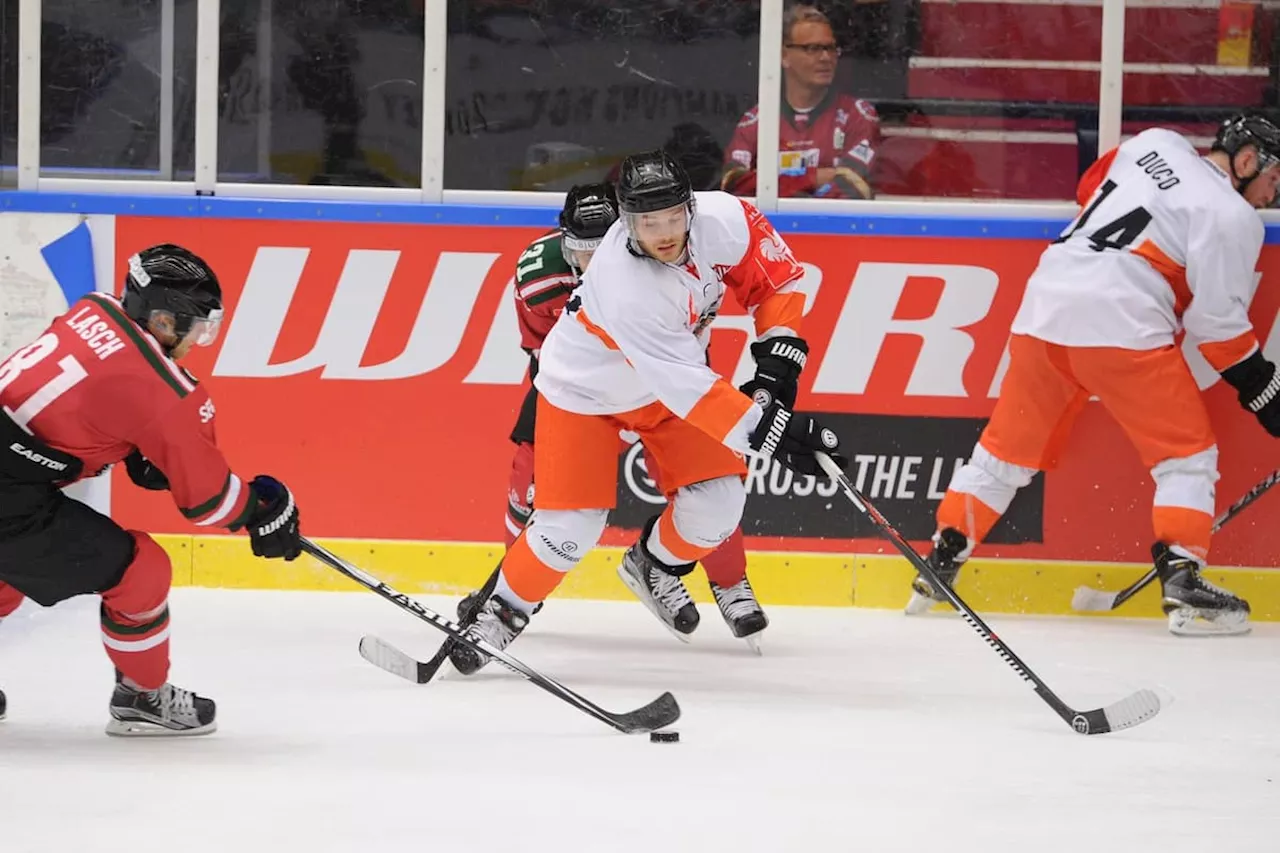 Sheffield Steelers coach Aaron Fox on the Champions Hockey League and its potential impact on recruitment