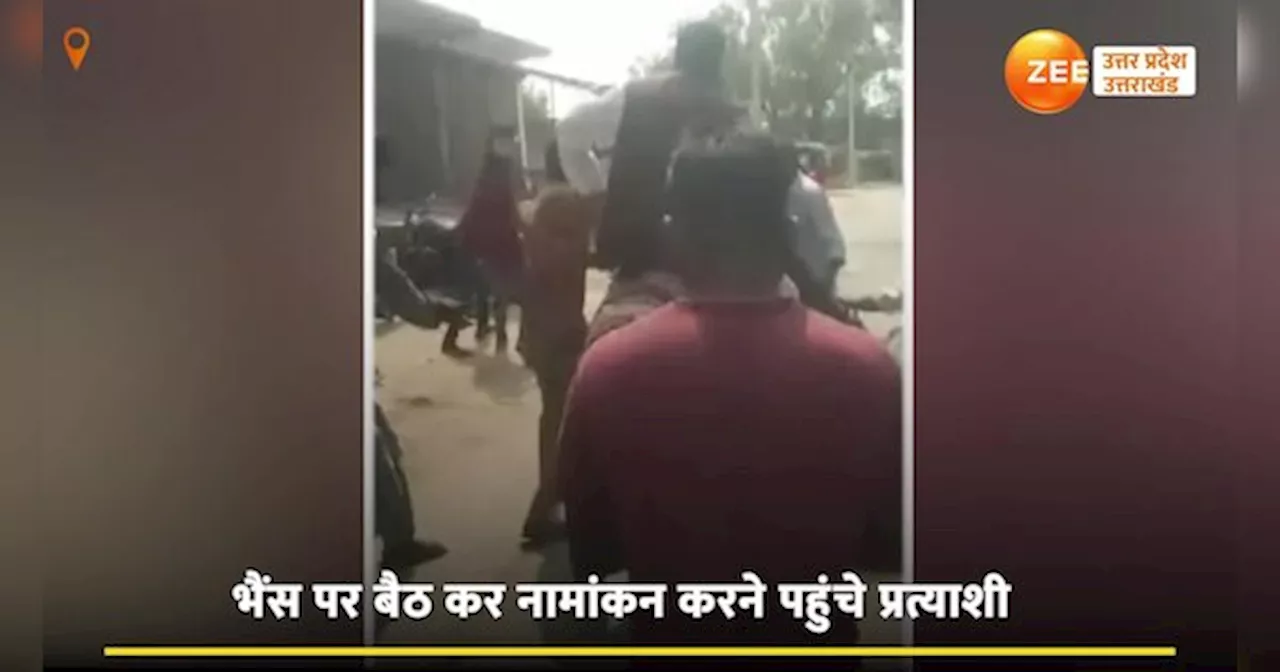 ना घोड़ा ना गाड़ी, बस्ती में लोकसभा चुनाव के प्रत्याशी की निकली गजब सवारी, नामांकन का Video Viral