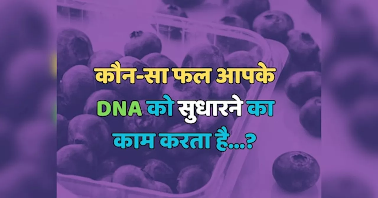 Trending Quiz : कौन-सा फल आपके DNA को सुधारने का काम करता है?