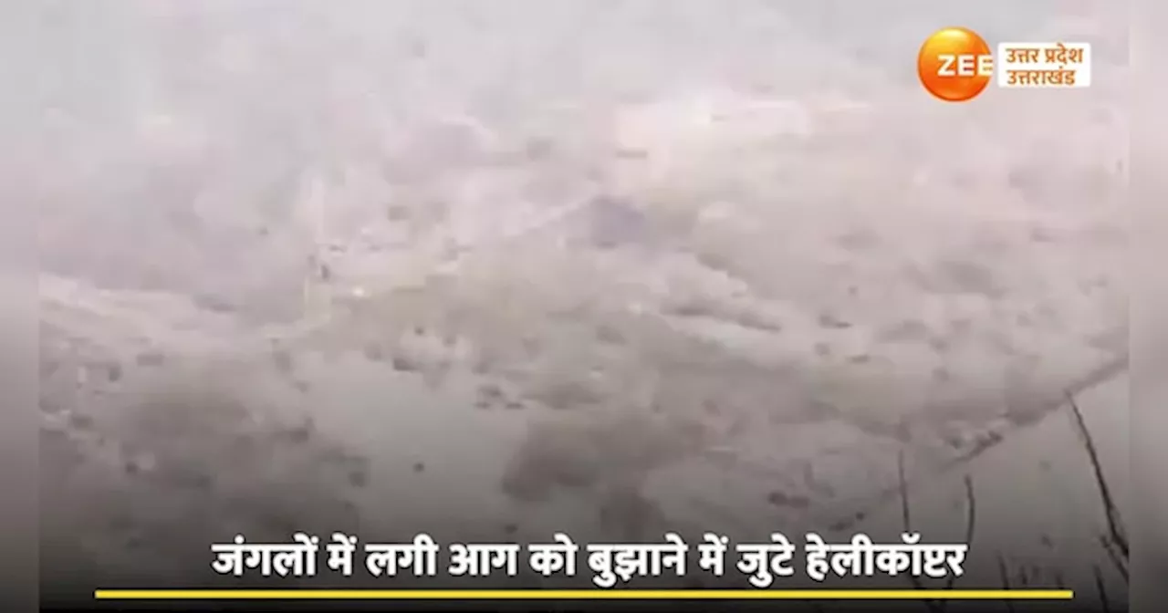 Video: उत्तराखंड के जंगलों की आग बुझाने के लिए अलकनंदा से लाया जा रहा पानी, वायुसेना के हेलीकॉप्टर्स ने संभाला मोर्चा