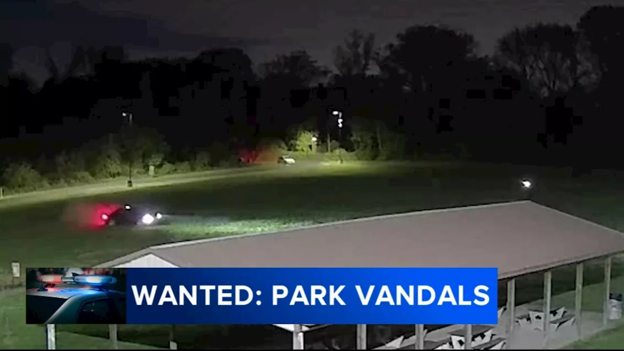 Multiple suspects sought after Bucks County park destroyed by reckless driving