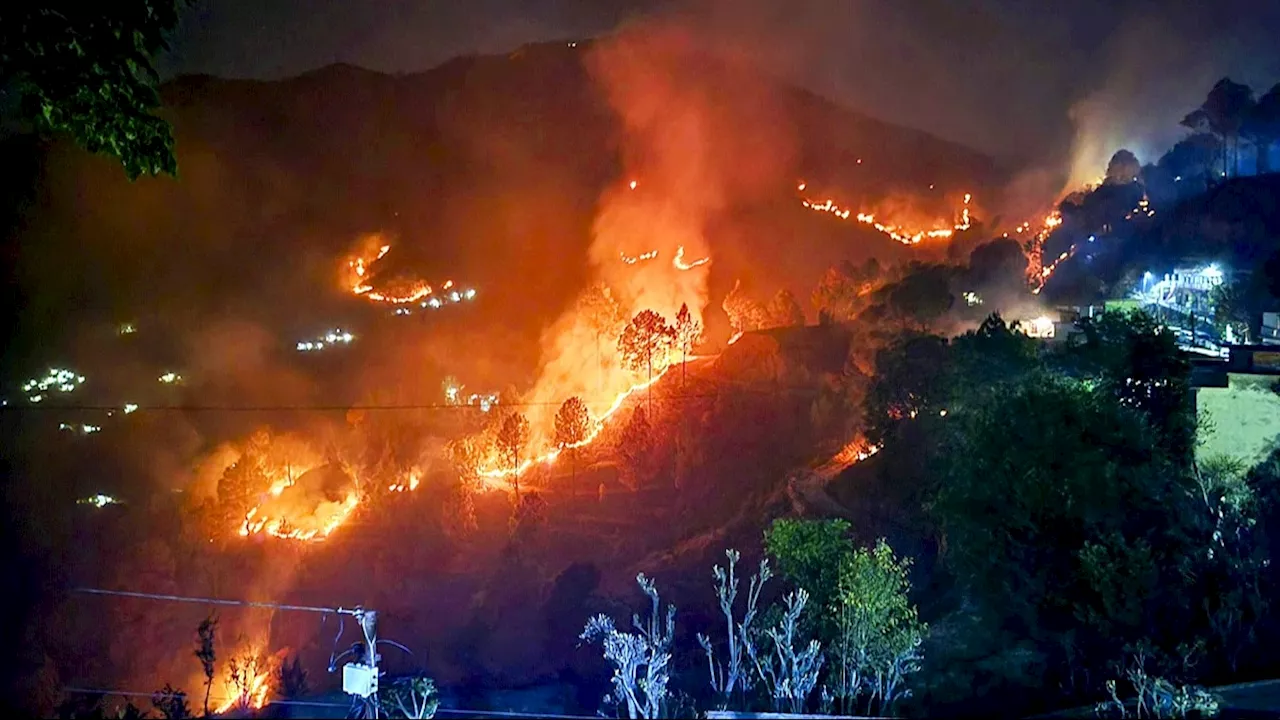 Uttarakhand Forest Fire: अंग्रेजों की एक गलती और आज तक धधक रहे हैं उत्तराखंड के पहाड़, जानिए इस आग की साइंटिफिक वजह