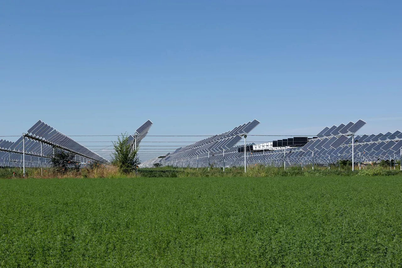 Stop all’agrivoltaico se non permette l’attività agricola