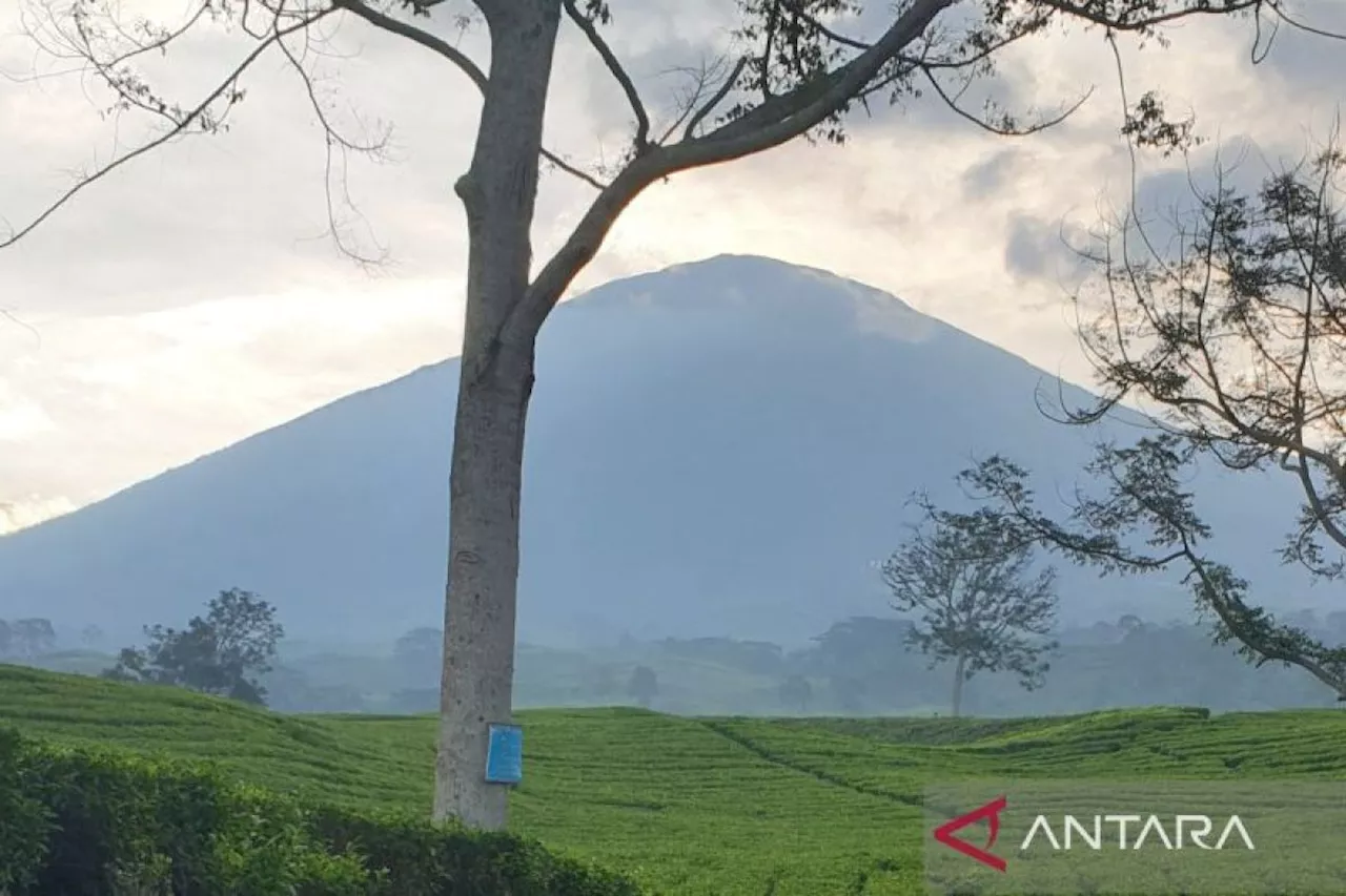 Gunung Dempo mengalami perubahan warna air danau kawah