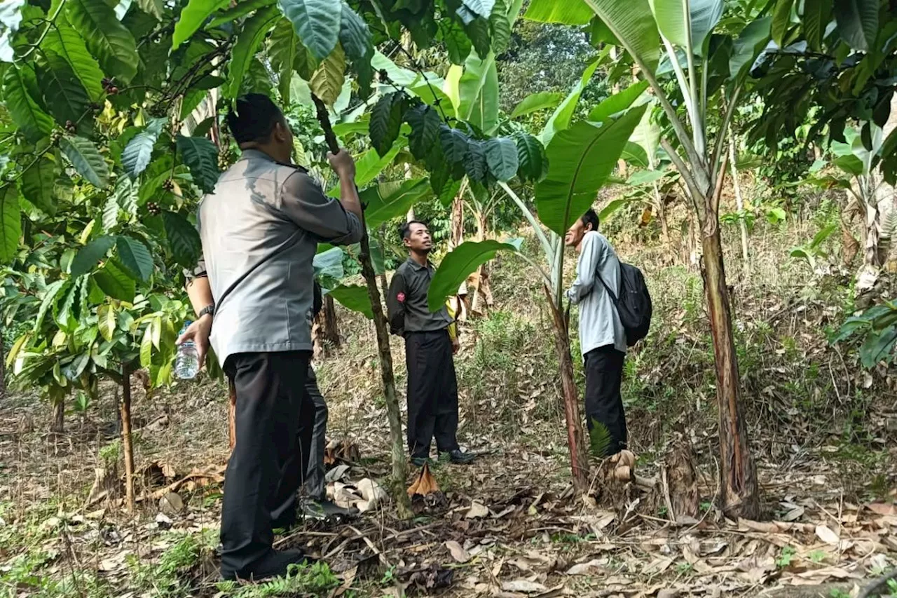 Petani kopi Karawang daftarkan paten indikasi geografis kopi robusta