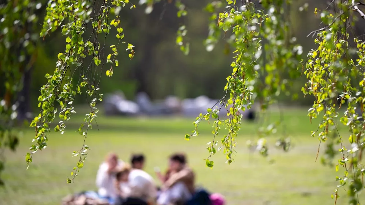 Strahlender Sonnenschein und bis zu 20 Grad am Feiertag