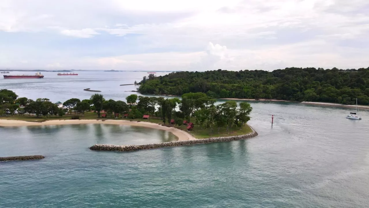 Singapore unveils plans to designate second marine park at Lazarus South, Kusu Reef