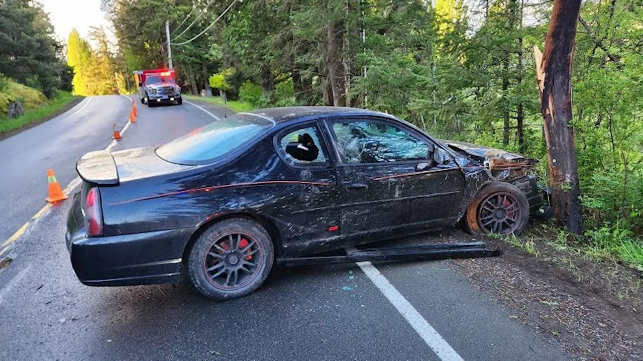 RCMP believe teen was impaired by drugs in early morning Metchosin crash