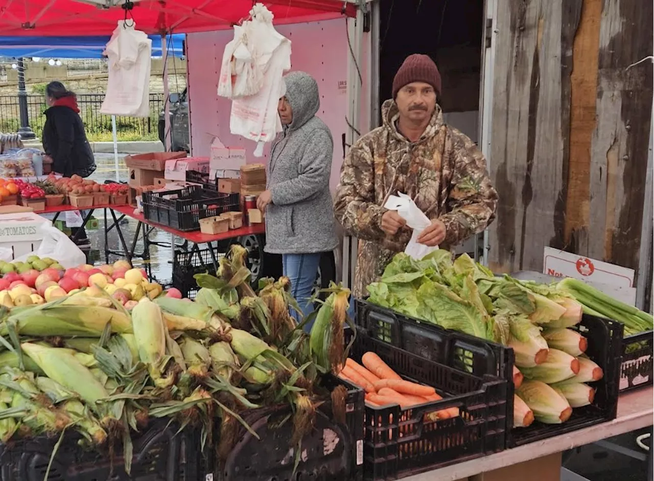 Aurora Farmers Market to open a little earlier this year