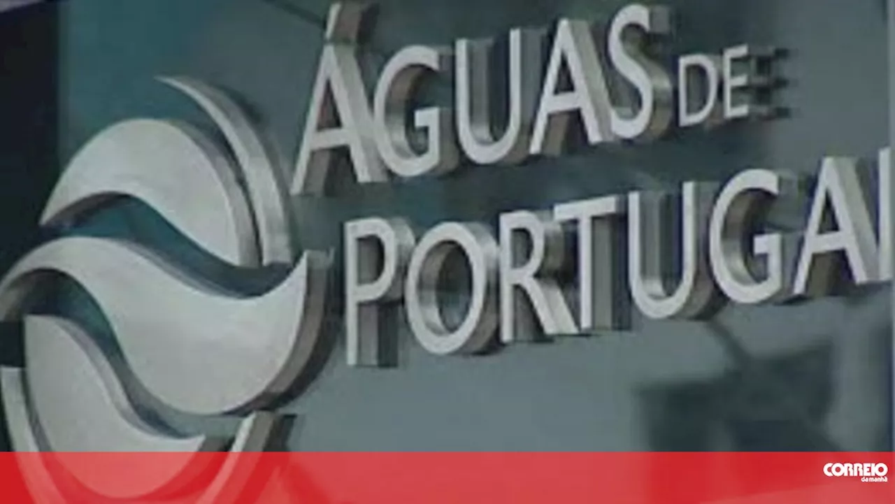 Presidente da Águas de Portugal demite-se