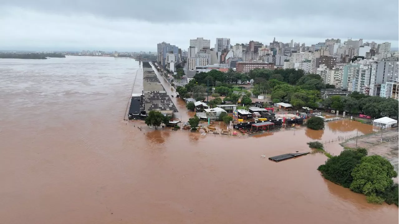 Crianças perdidas: o drama no RS para reconectar pais e filhos | Blogs CNN