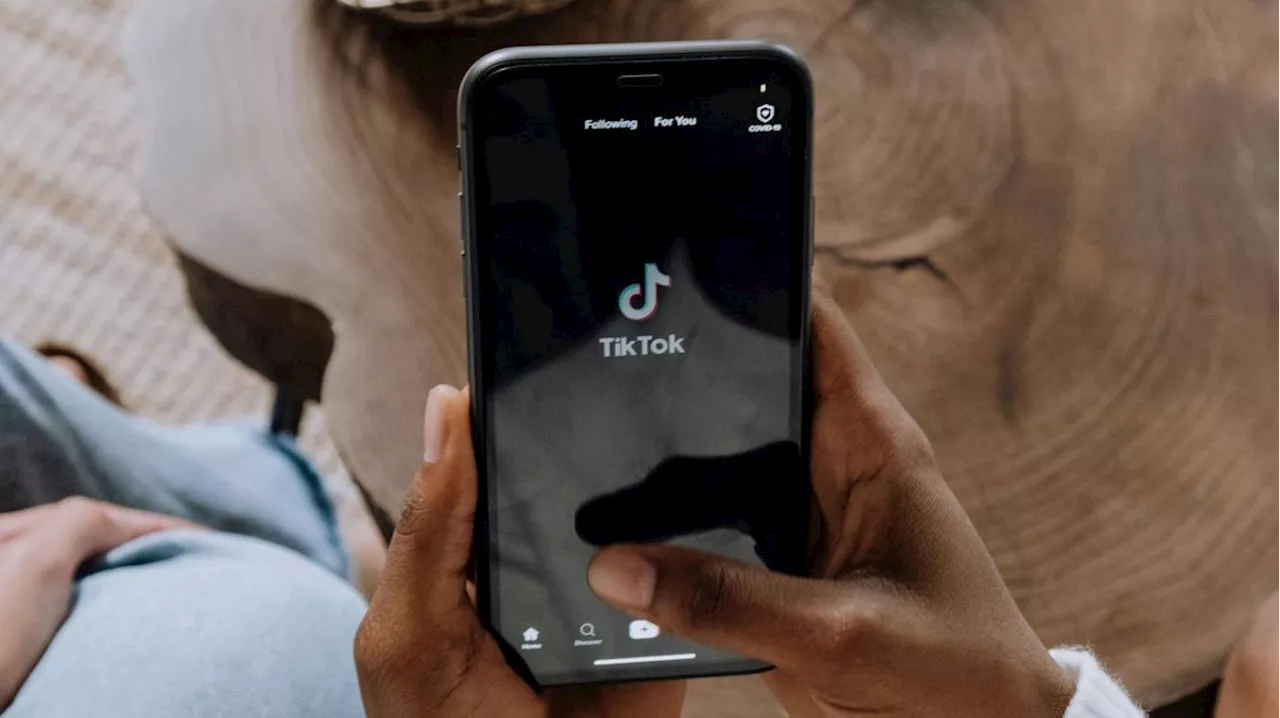 TikTok aponta 8 características comuns a diferentes gerações de usuários