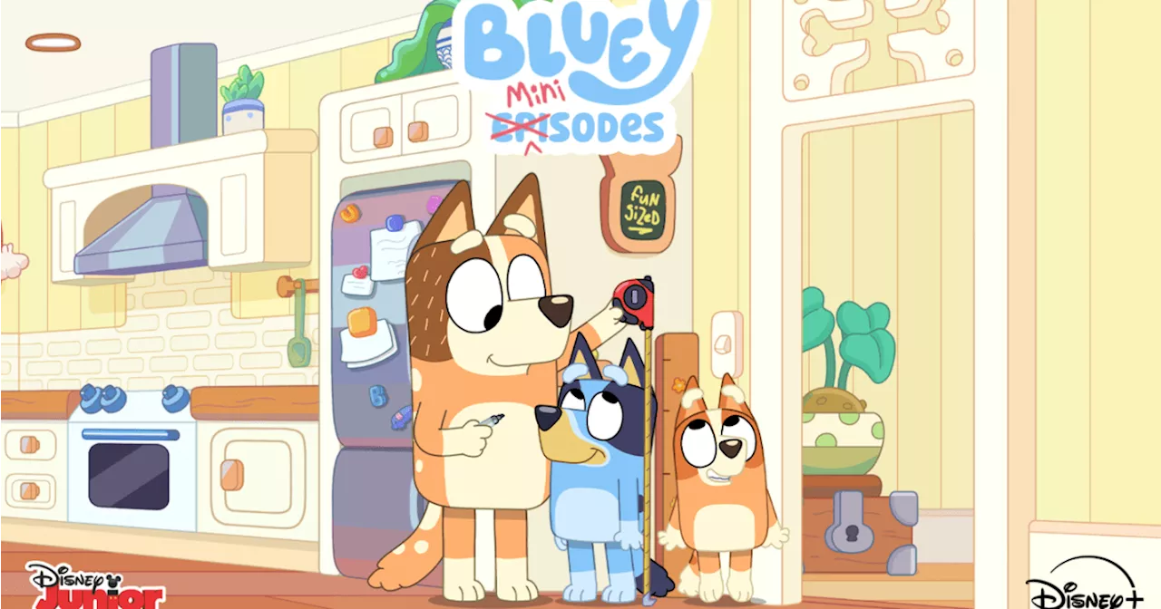 Bluey Minisodes Disney+ Release Date Set for New Series of Shorts