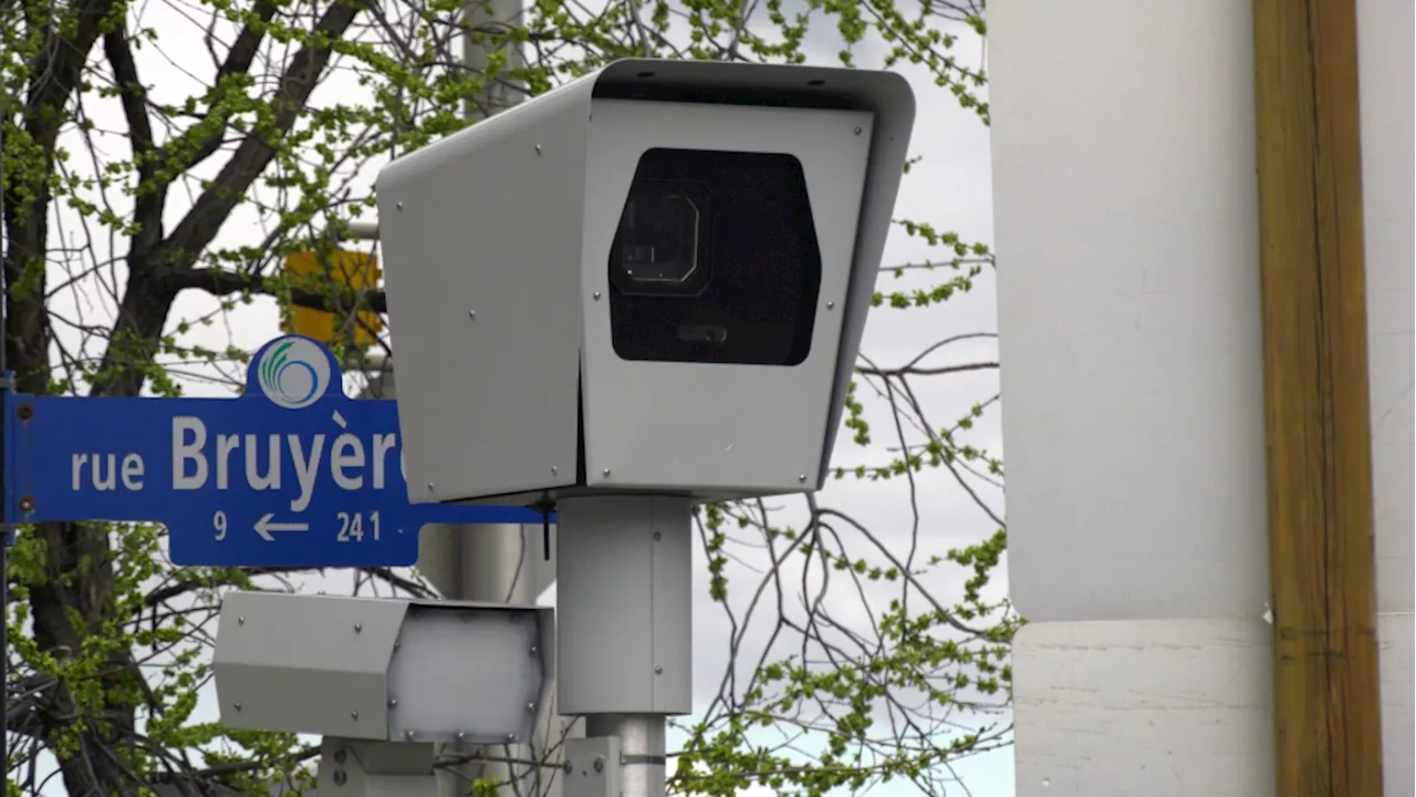 A 1 KM stretch of an Ottawa road has 4 photo radar and red light cameras, catching thousands of drivers