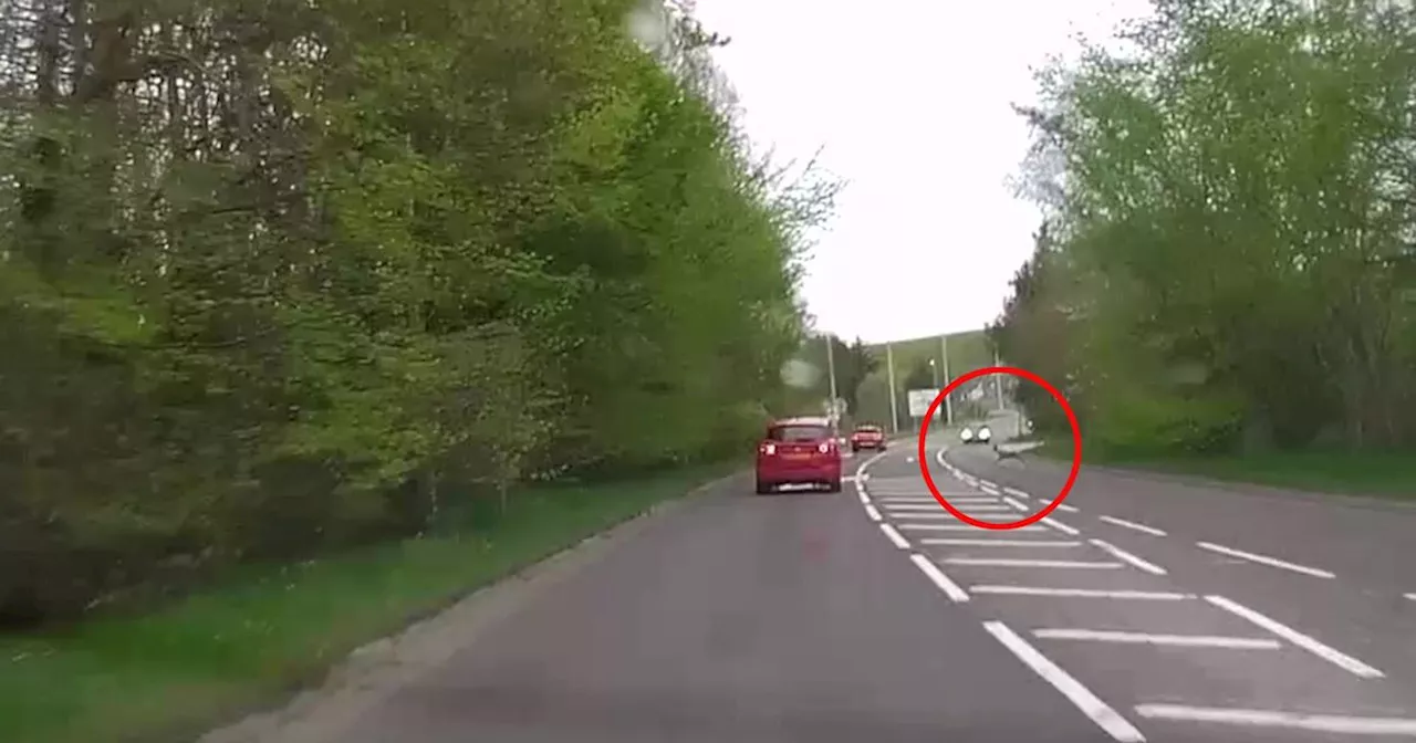 Lucky escape after deer collides with car on busy Scots road