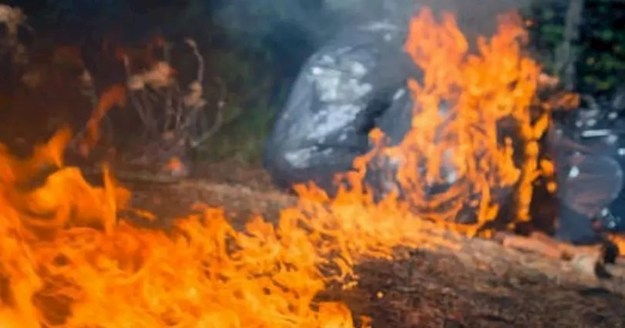 Youth charged over alleged 'deliberate' fire in Cambuslang woodlands