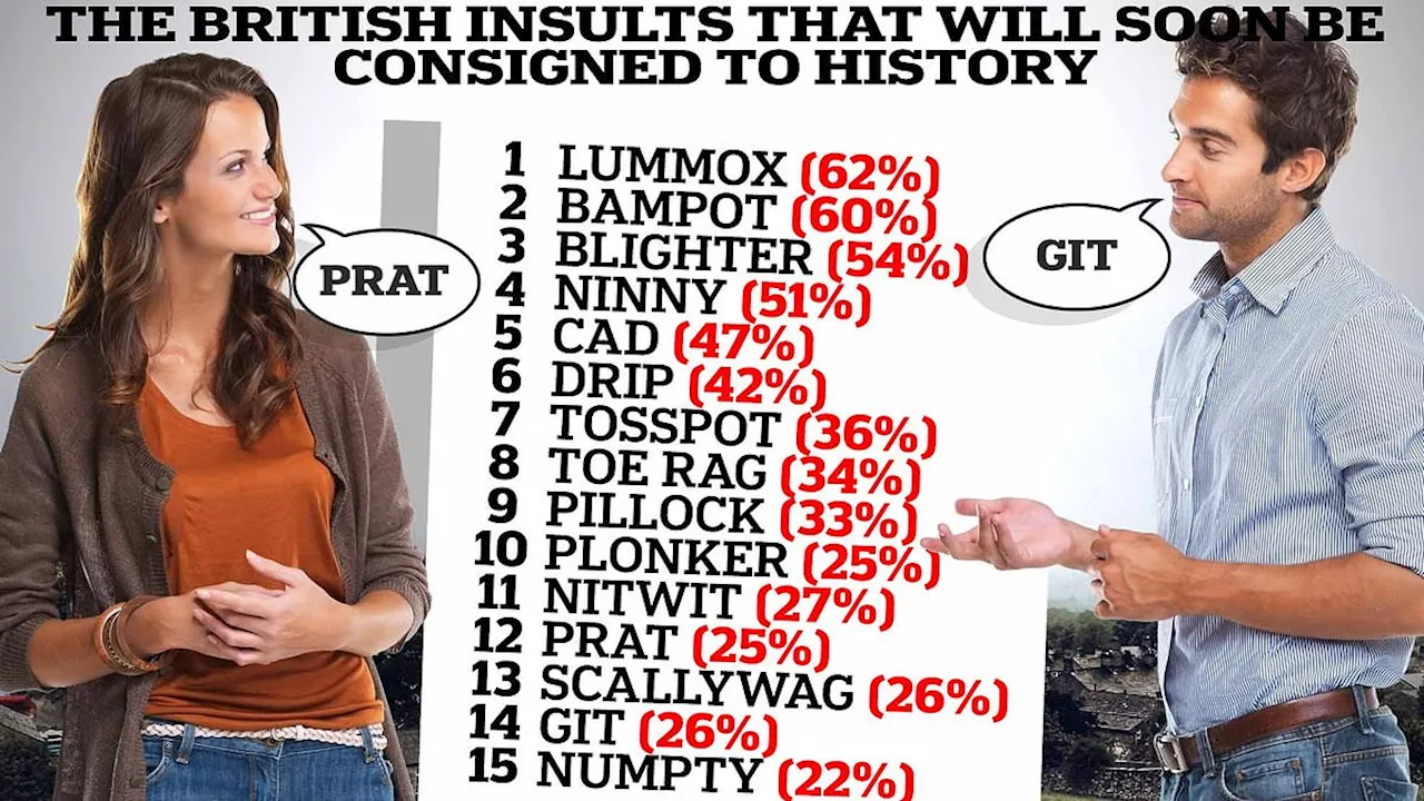 Del Boy won't be pleased! Study reveals the British insults that will soon be consigned to history...