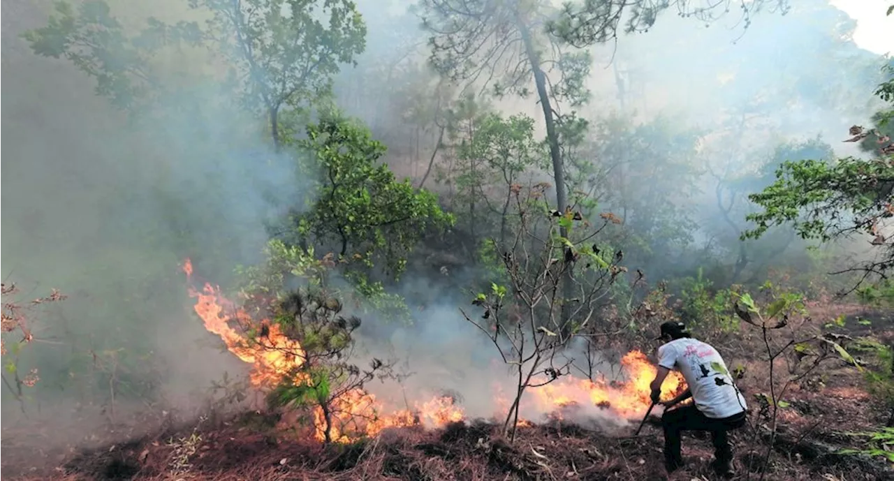 Mantienen brigadas para evitar incendios en Valle de Bravo