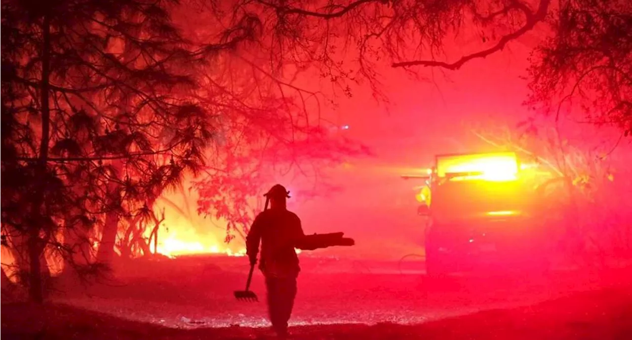 Se registra incendio en el Bosque La Primavera, en el municipio de Zapopan, Jalisco